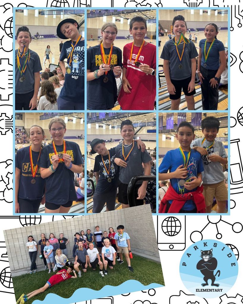 Students with olympiad medals