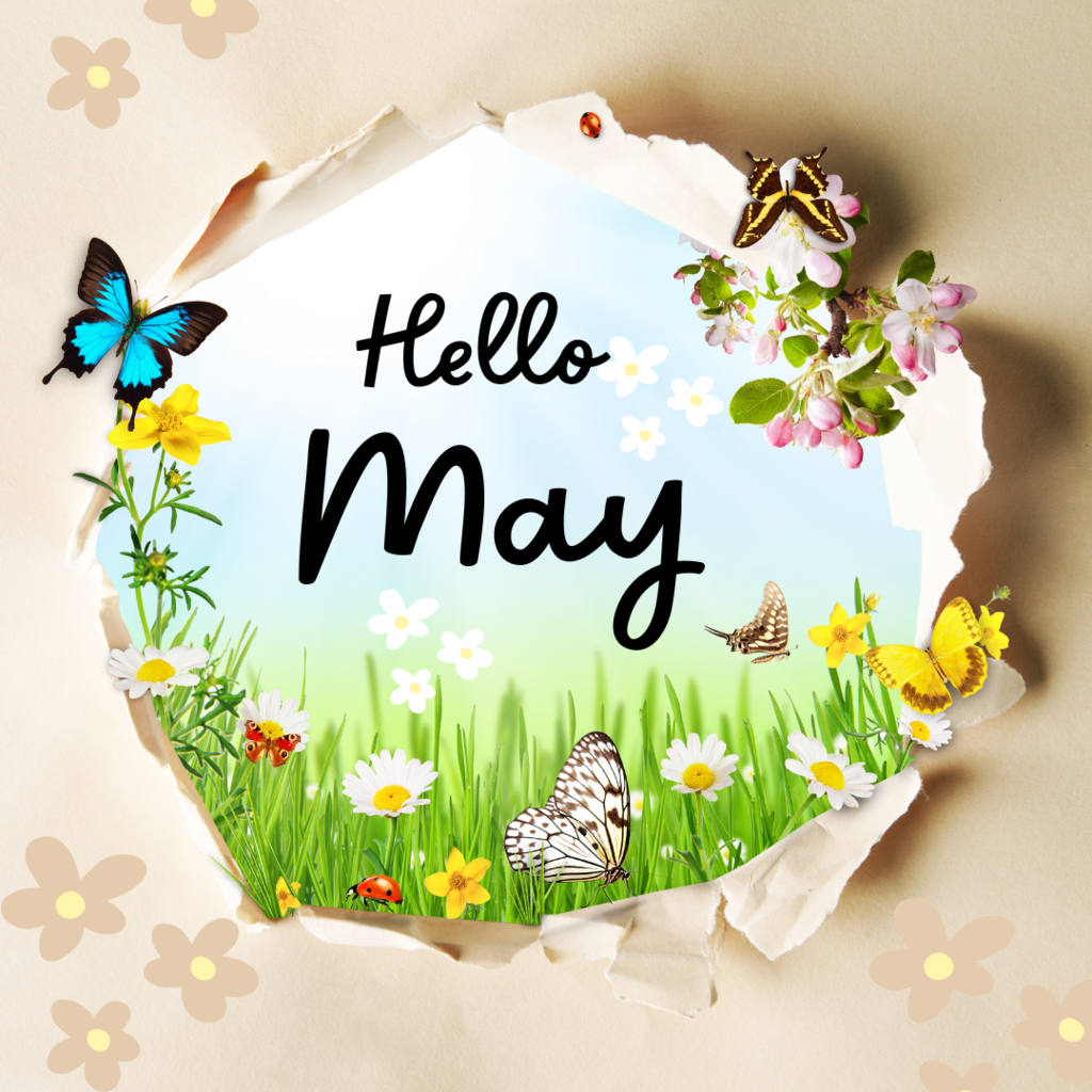 Hello May on springy background