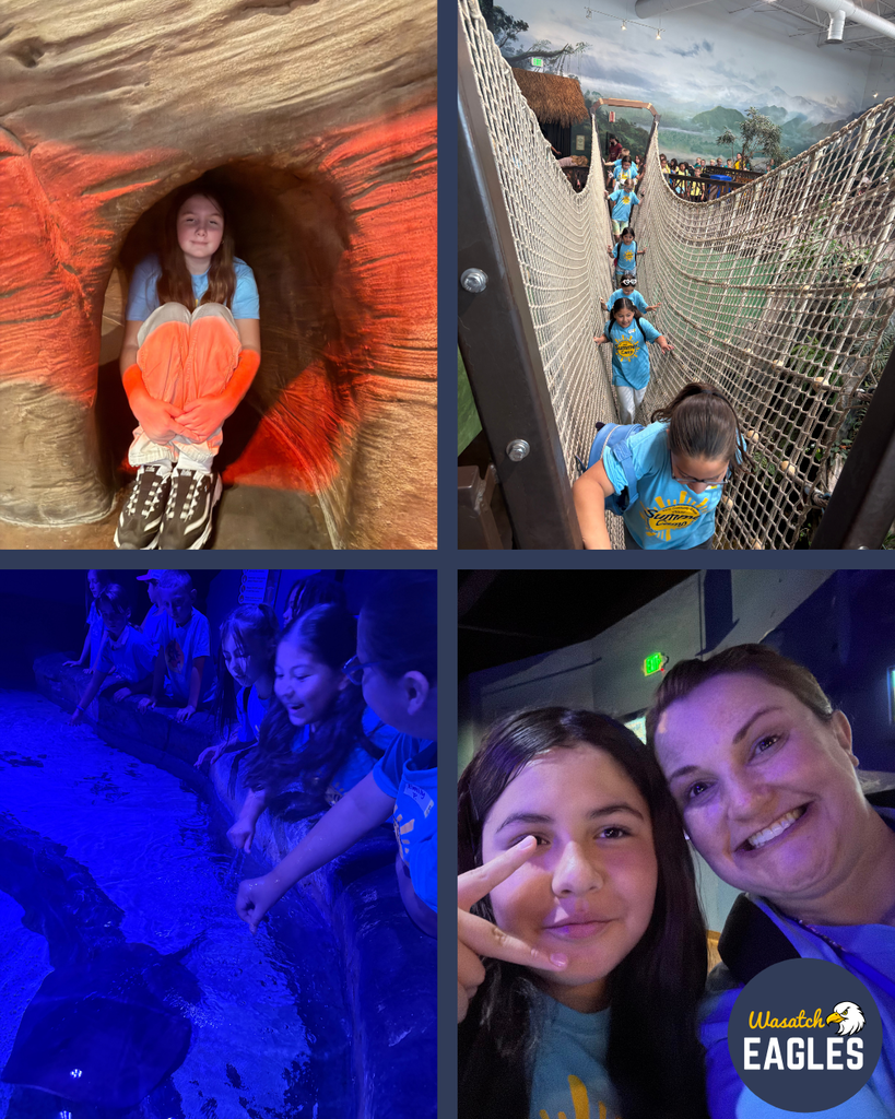 Summer campers visiting the aquarium