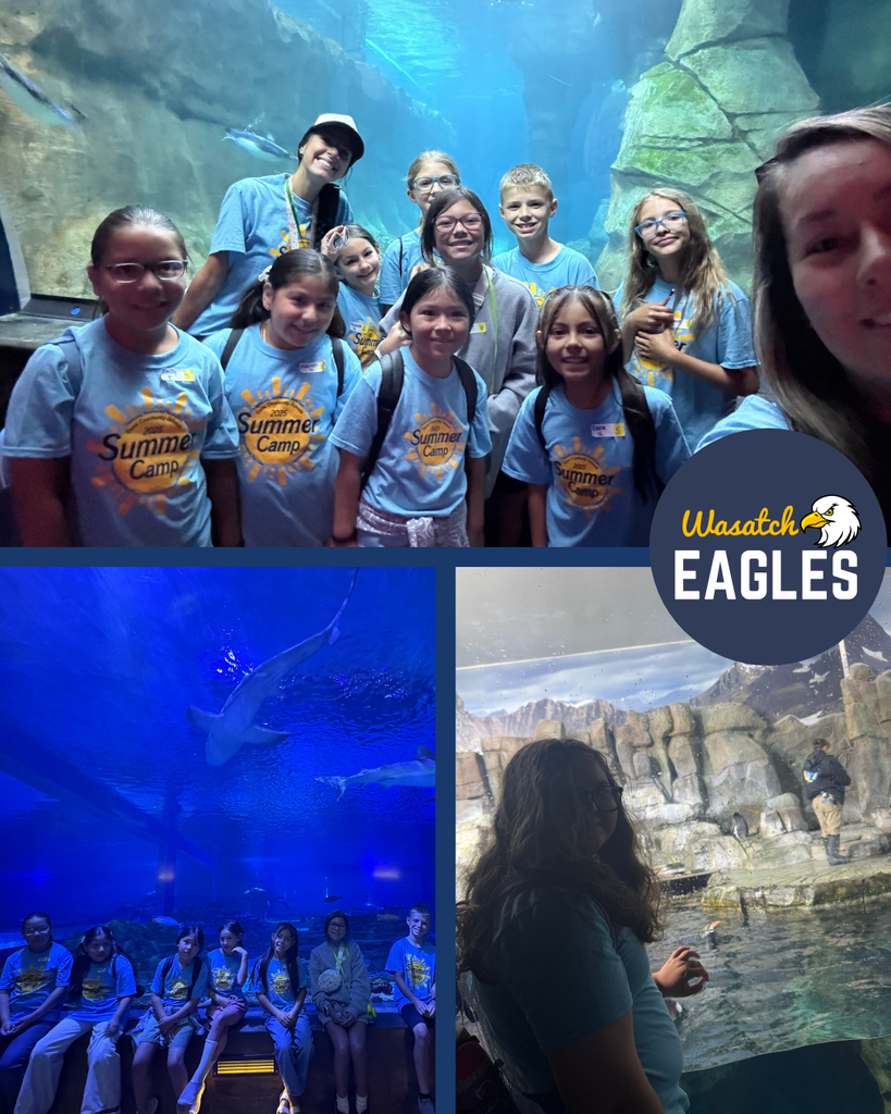 Summer campers visiting the aquarium