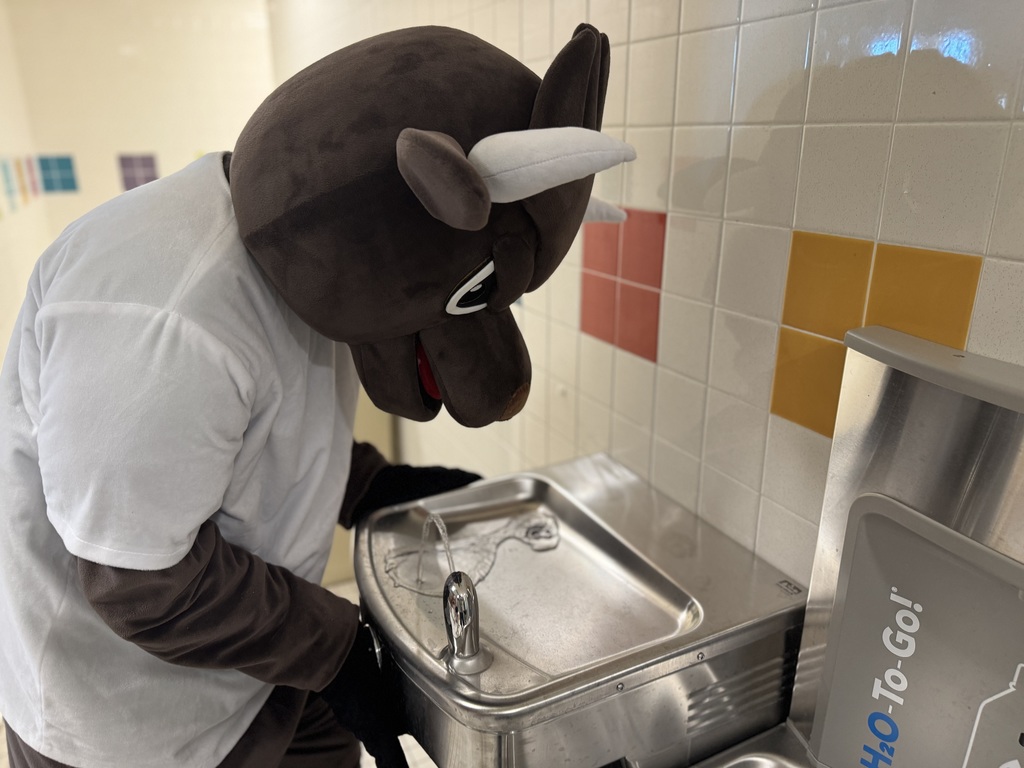 chip at drinking fountain