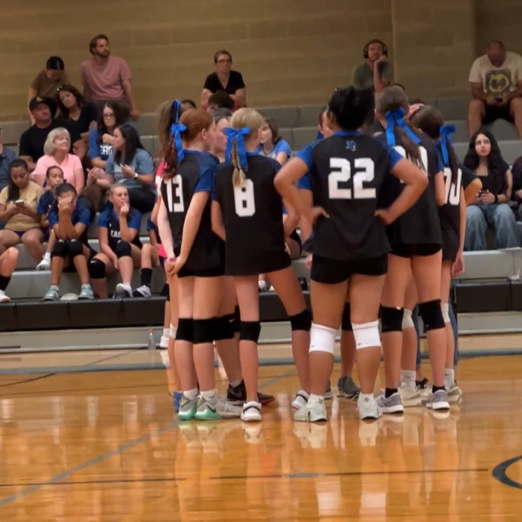 volleyball team