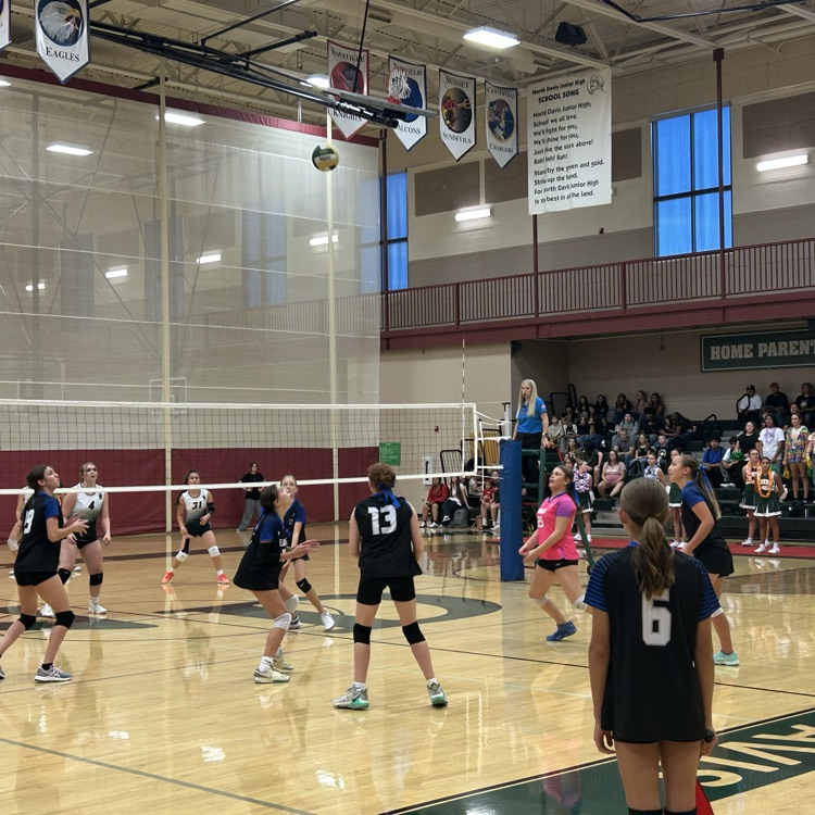 volleyball team