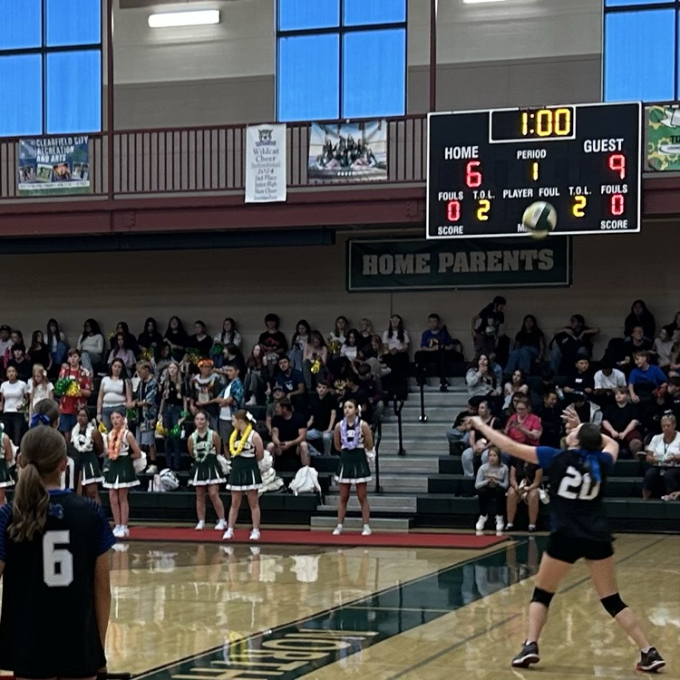 volleyball team serving 