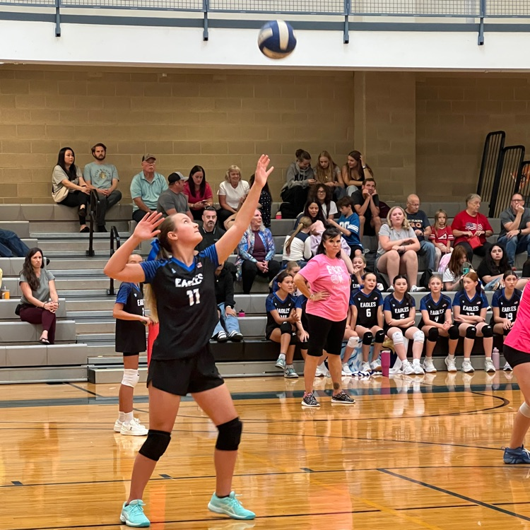 volleyball serve