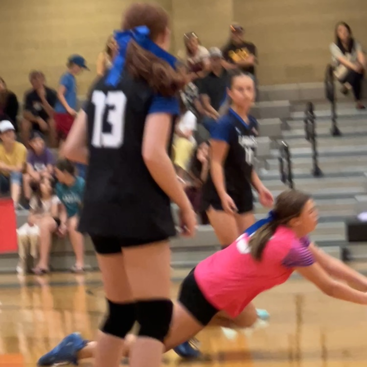 dive for the ball!
