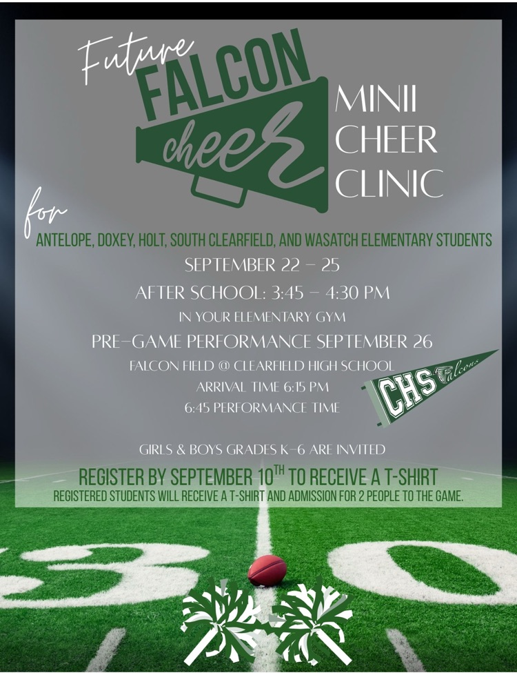 cheer clinic