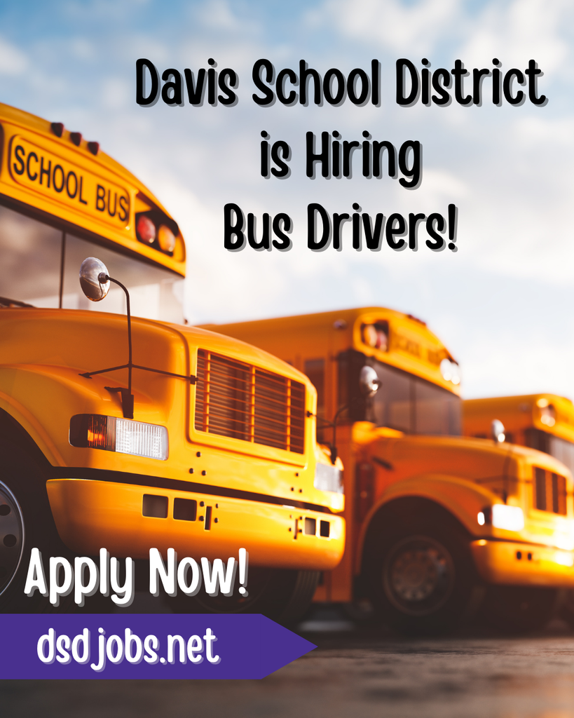 Bus Driver hiring flyer. 3 yellow school busses lined up