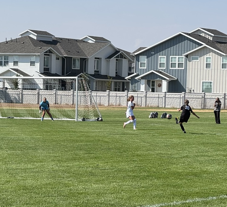 player taking a shot