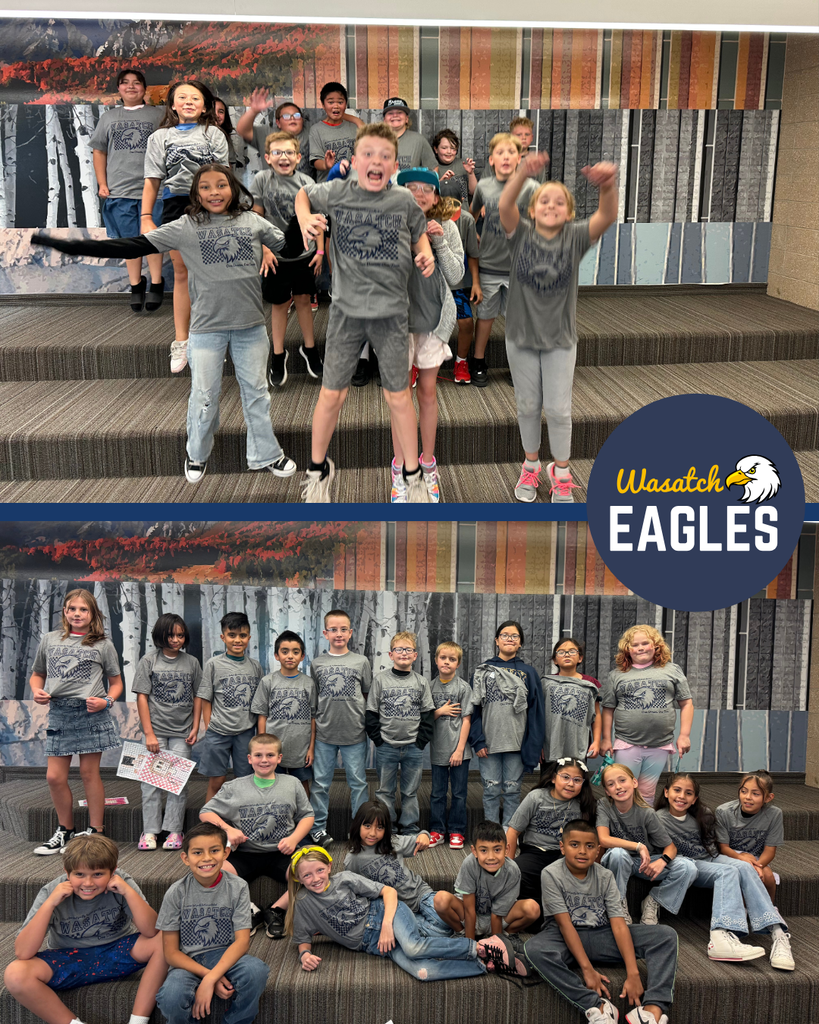 Groups of students showing school pride by wearing school shirt