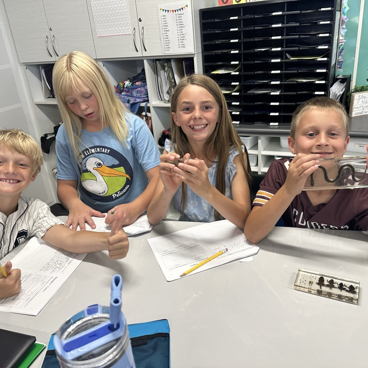 several students hold acrylic incased specimen including a snake
