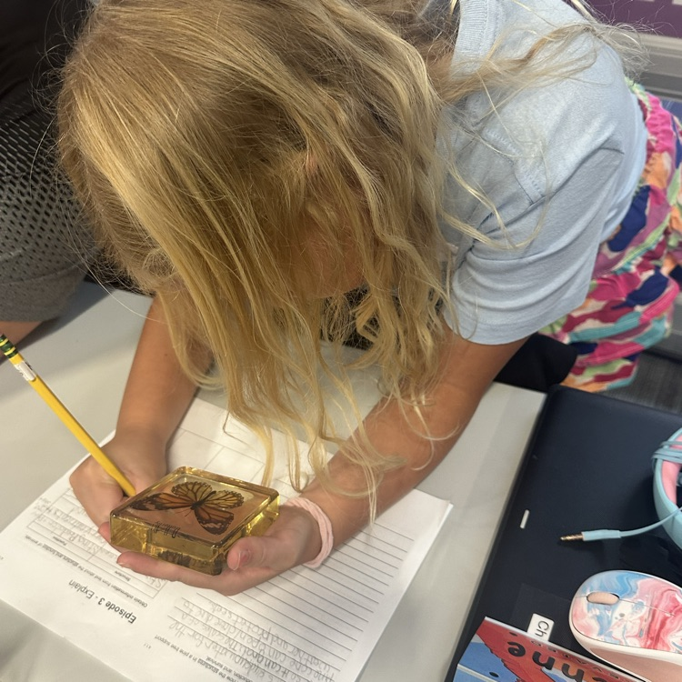 girl writes on paper while holding a butterfly in acrylic