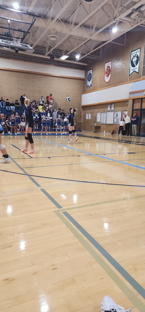 One of Fairfield's players is serving the ball. Another girl is looking back at the server. The crowd is seated in the background in the bleachers. Three people are standing against the wall on the back right side of the picture.