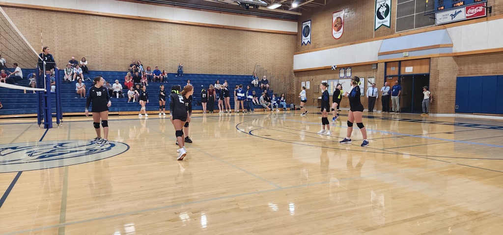 One of Fairfield's girls is serving the ball in the background while the rest of the five girls are spread on Fairfield's side of the court. A Fairfield girl is the ref in the ref-stand. The crowd is seated in the bleachers in the background.