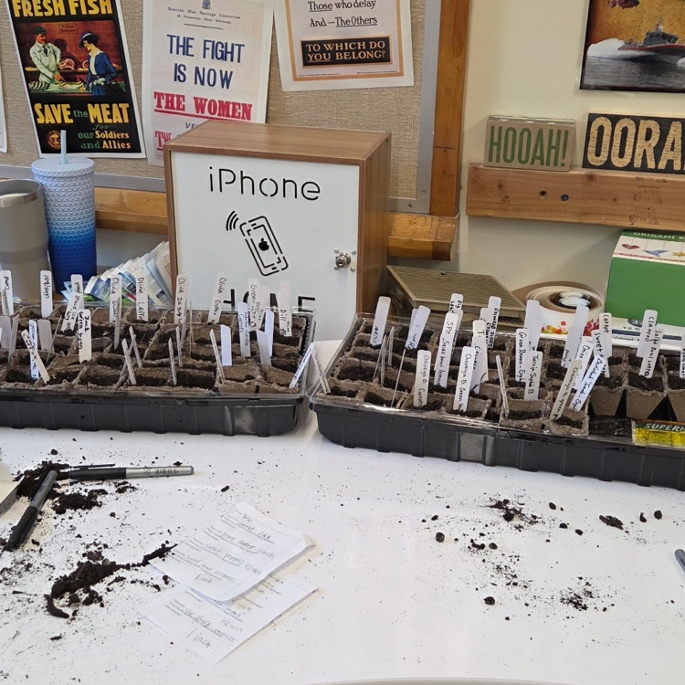 seeds in dirt