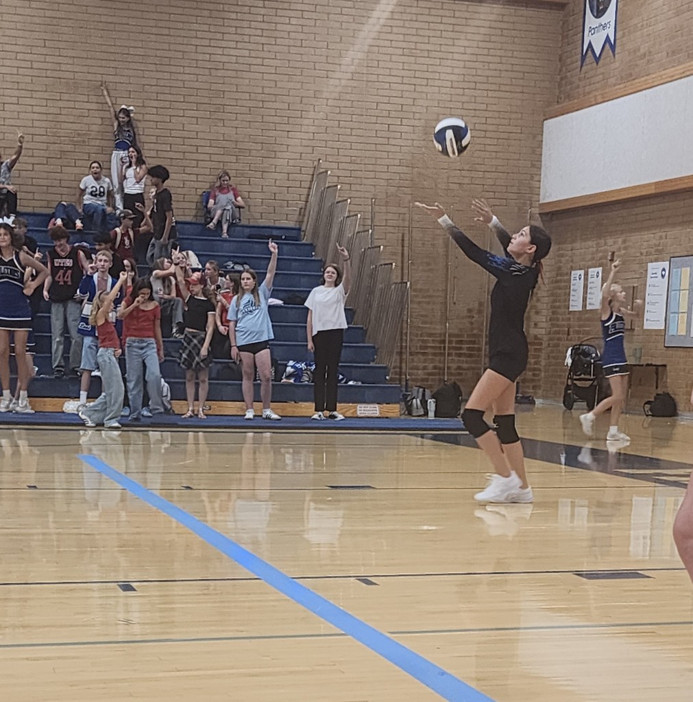 Fairfield's JV server is serving for a game point. The crowd in the background is holding up one finger as this is the final point in the game.