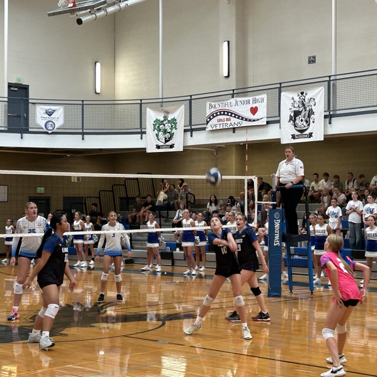 girls volleyball 