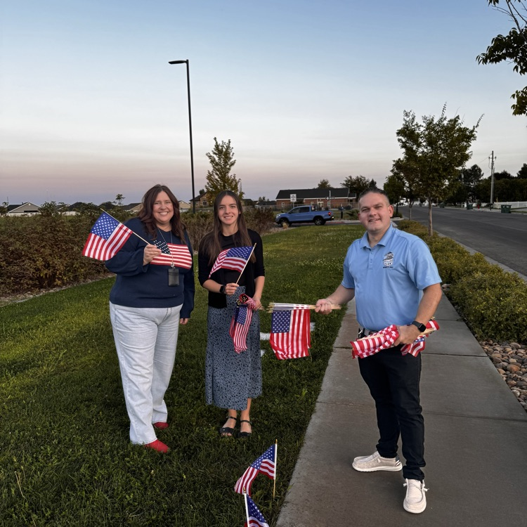 flags