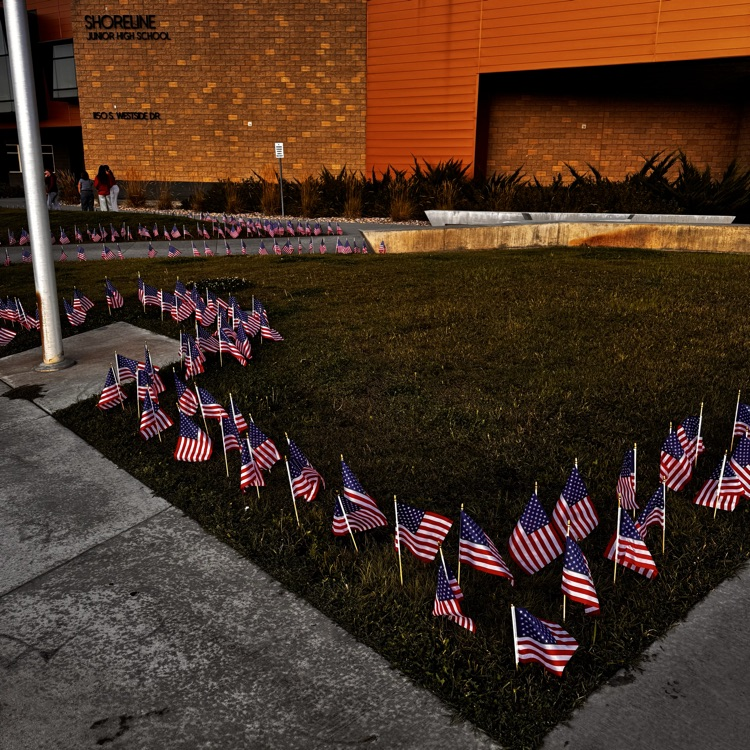 flags