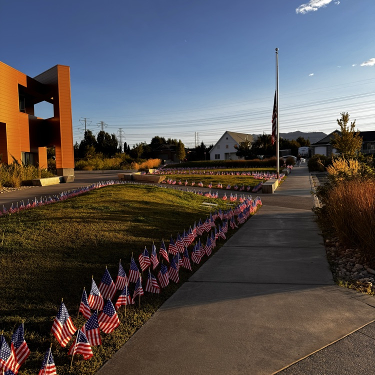 flags
