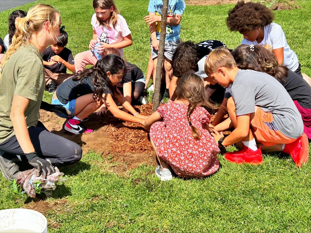 Many students bent down in a circle, using their hands to spread mulch over the newly covered tree roots.