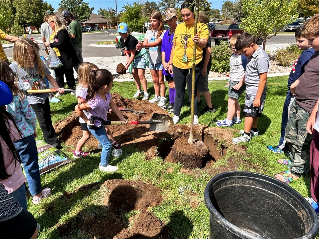 Students holding shovels full of dirt next to a large hole with a thin tree placed inside that a teacher is holding upright. They are helping to cover the roots of the newly planted tree. Many students standing around watching