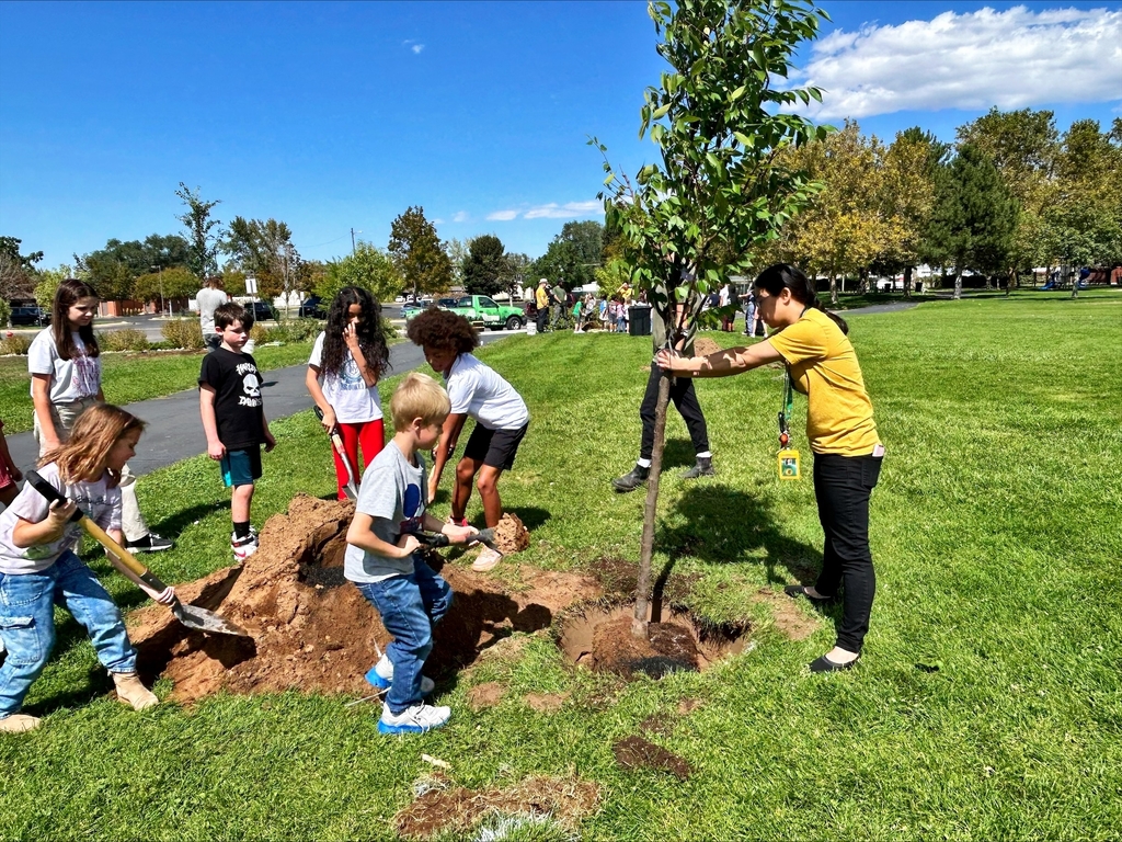 Students holding shovels full of dirt next to a large hole with a thin tree placed inside that a teacher is holding upright. They are helping to cover the roots of the newly planted tree.