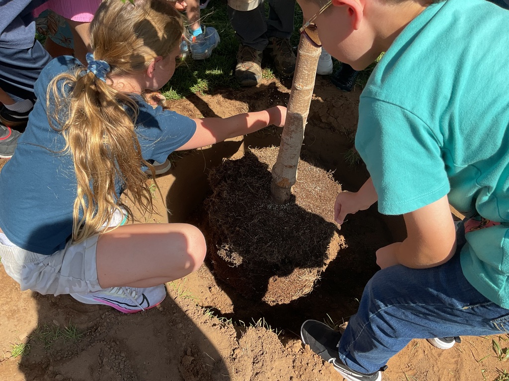close up picture of 2 students in blue and green shirts bent down using their hands to sprinkle dirt over the trees roots