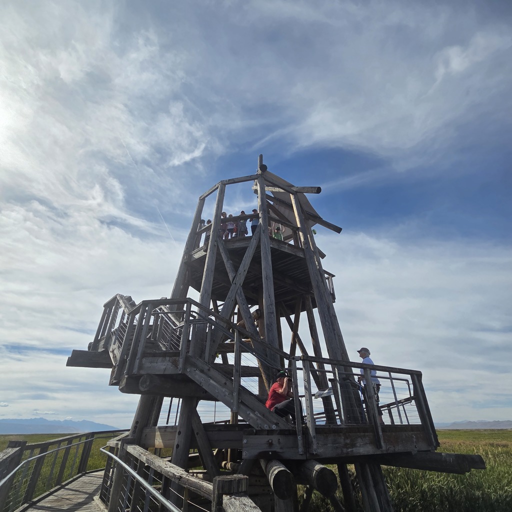 students standing on a wooden tower looking out to the wetland and the camera