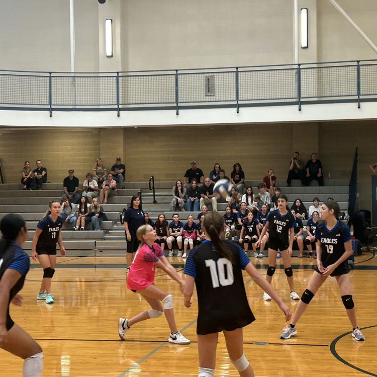 girls volleyball