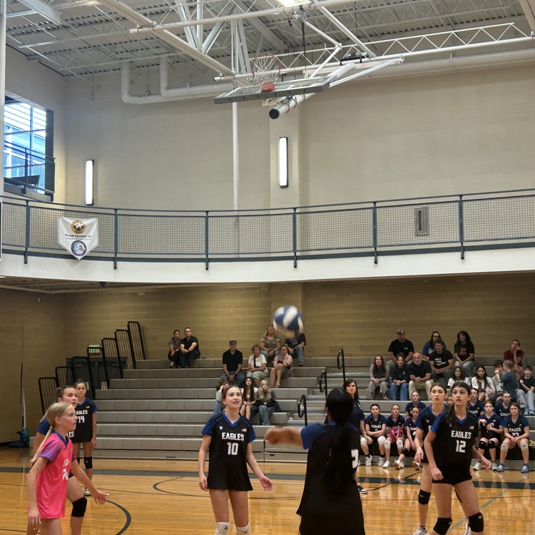 girls volleyball