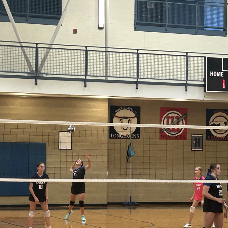 girls volleyball