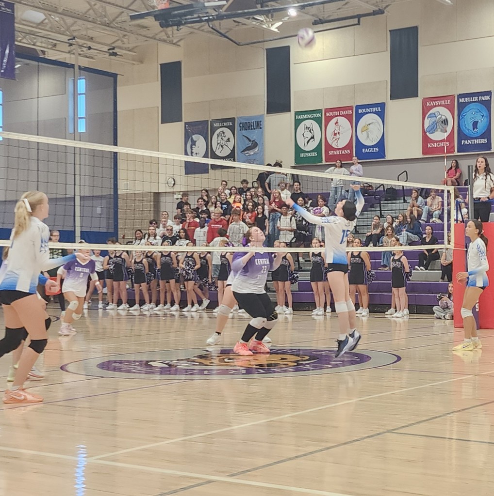 Fairfield's player is jumping to hit a ball over the net while Central Davis is preparing to jump and block.  In the background are crowd-members standing in the bleachers.