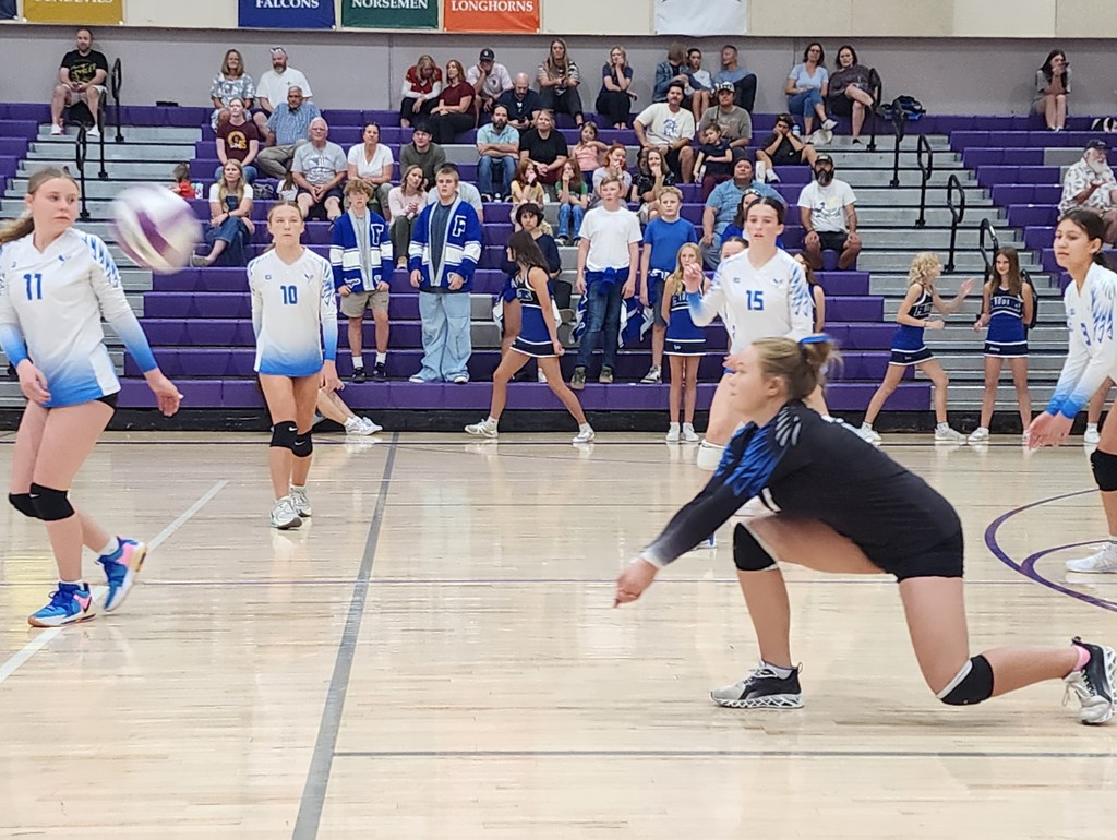 Fairfield's libero is digging a ball while the remaining players are watching and waiting to move to play the next ball.  In the background is the crowd sitting and standing in the bleachers.
