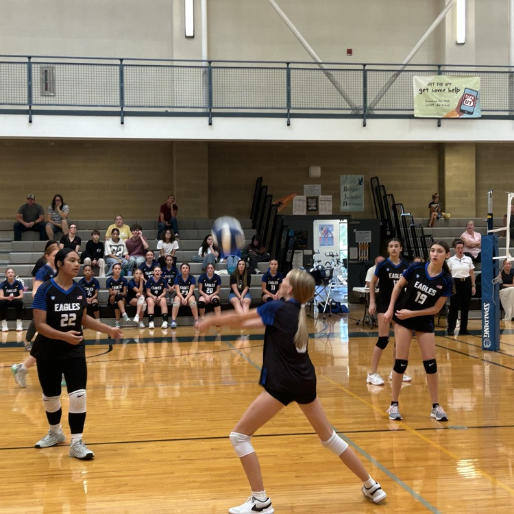 girls playing volleyball 