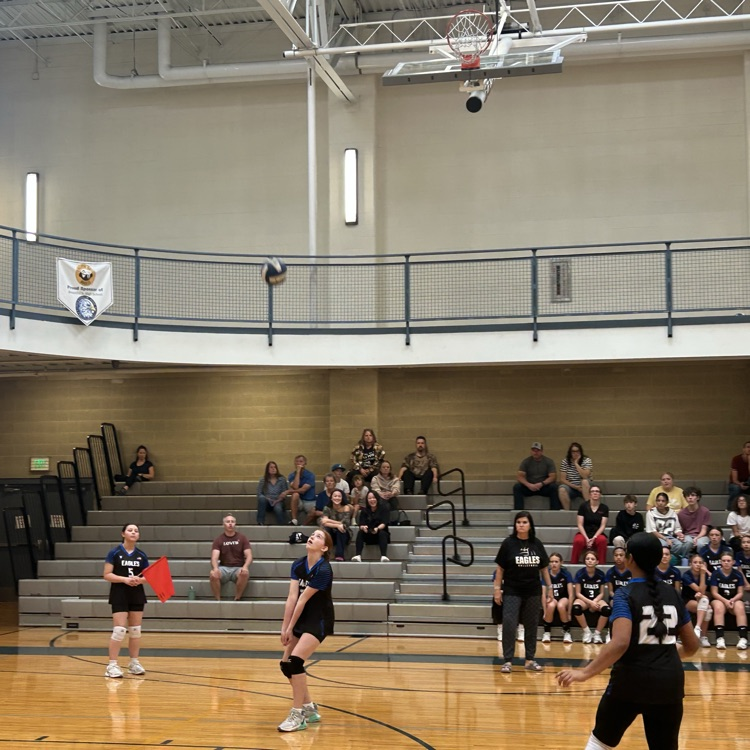 girls playing volleyball 