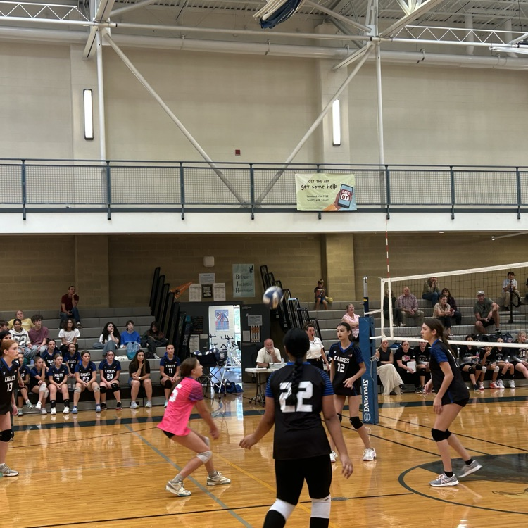 girls playing volleyball 