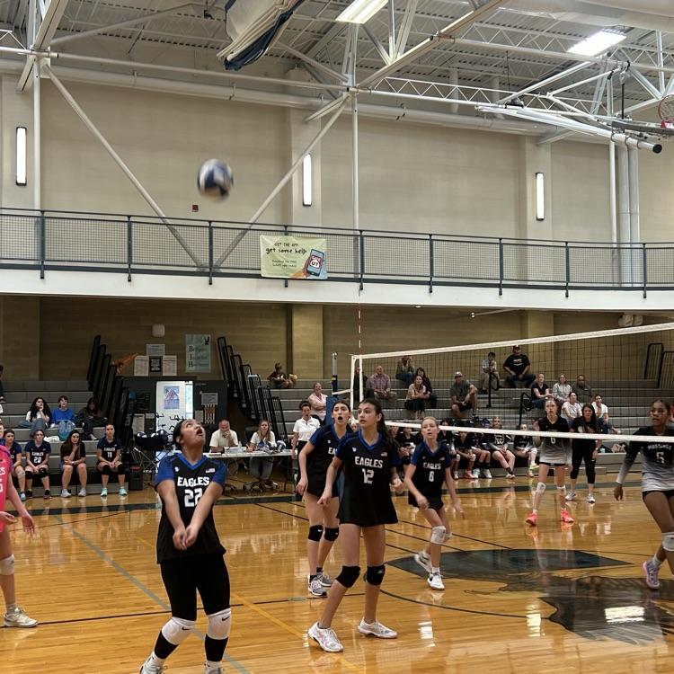 girls playing volleyball 