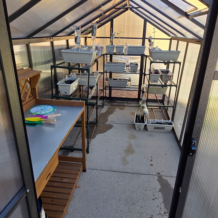 greenhouse