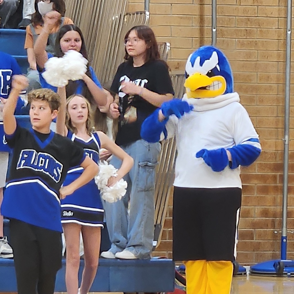 The Fairfield Falcon mascot makes an appearance at the game with cheerleaders cheering and 2 crowd members behind them standing in the bleachers.