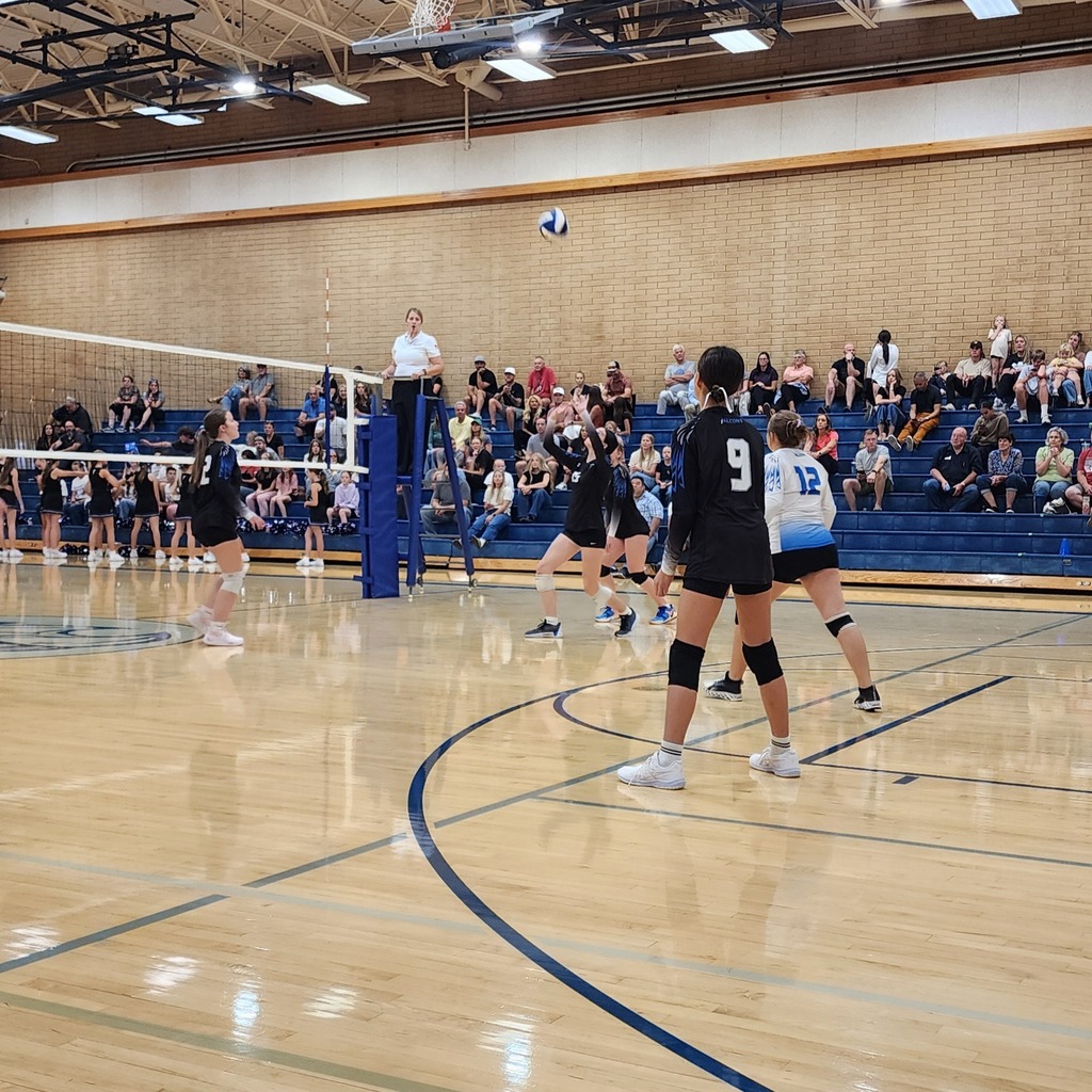 Fairfield's JV team player is setting the ball while 4 Fairfield team members are watching, ready to play the ball.  The crowd is in the background seated in the bleachers.
