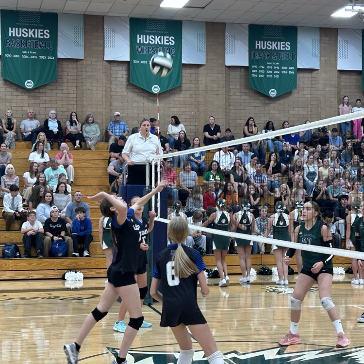 volleyball
