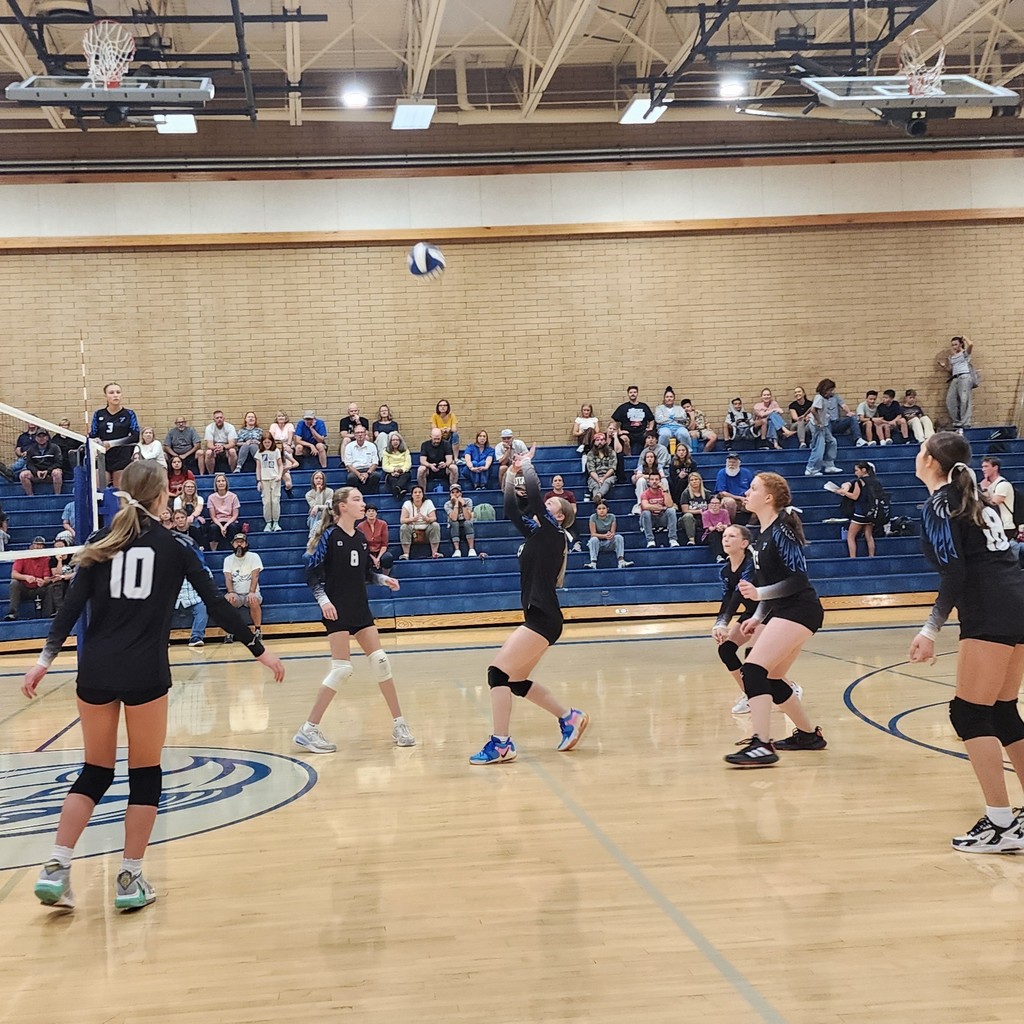 The ball is coming down to a Fairfield player with her arms up.  The rest of the team is watching, ready to move.  In the background the crowd is seated in the bleachers.