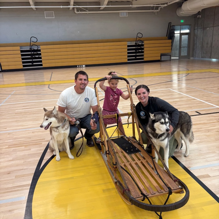 Sled and sled dogs with their owner
