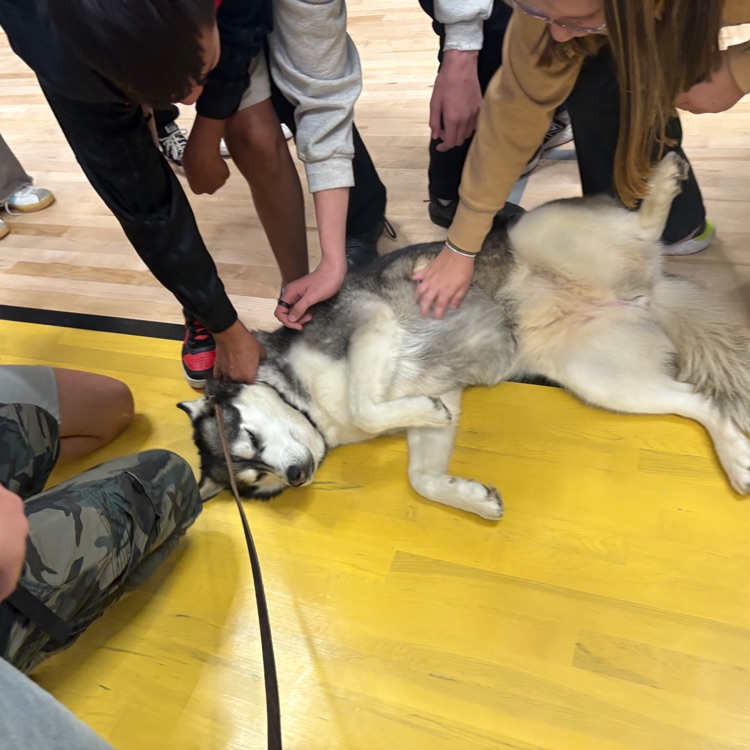 people petting a dog