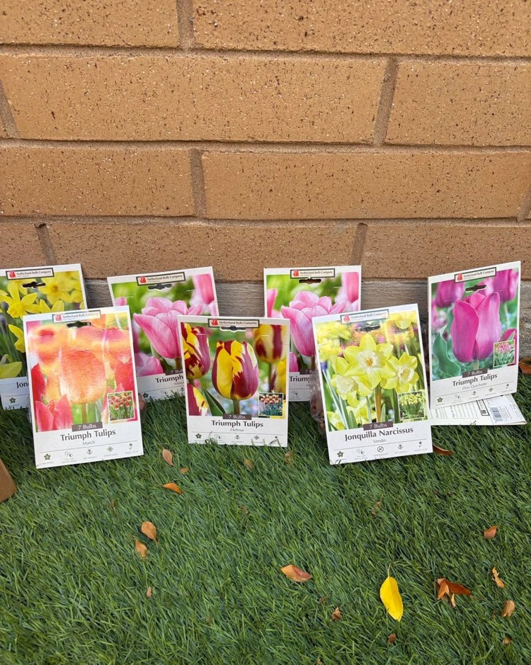 packets of tulip seeds donated by J and J Nursery