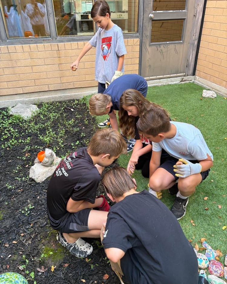 student council members planting tulip seeds for spring!