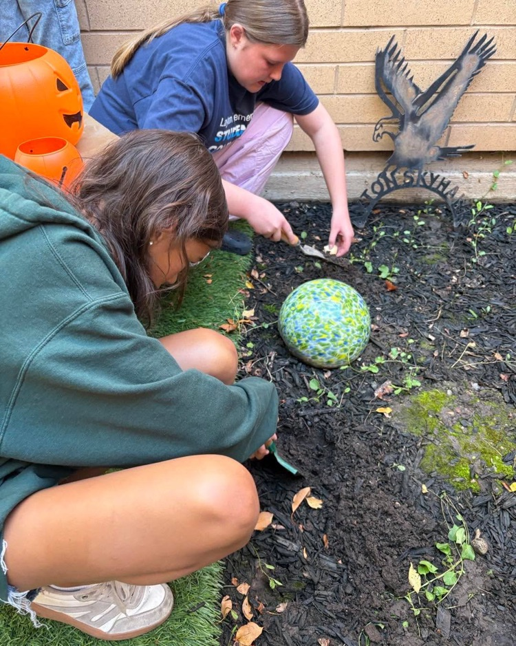 Students planting tulip seeds!