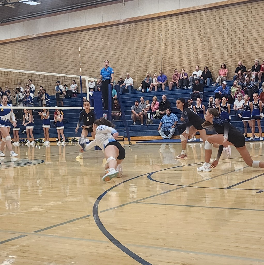 Our Libero, in a white jersey, is diving for a ball with one hand.  Three other Fairfield players, in black, are watching, ready to move and play the ball.  Int he background are crowd members seated in the bleachers.