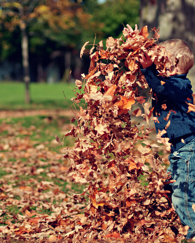 Kid playing in leaves